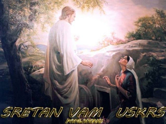 10261706_745994562098316_854272729_n